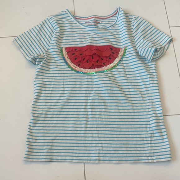 Mini Boden Aqua Striped Tee with Watermelon Design - Picture 1 of 1